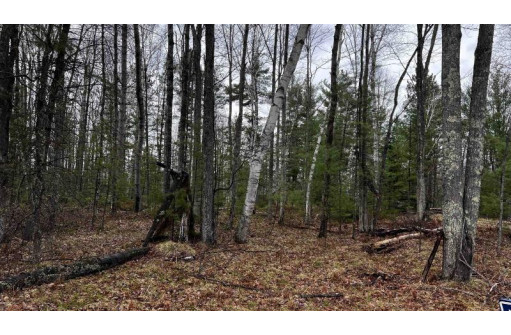 LOT 23 Menominee Shores Drive, Wausaukee, WI 54177