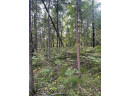 LOT 23 Menominee Shores Drive, Wausaukee, WI 54177