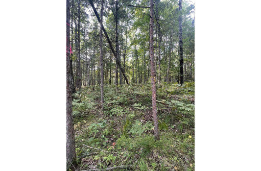 LOT 23 Menominee Shores Drive, Wausaukee, WI 54177