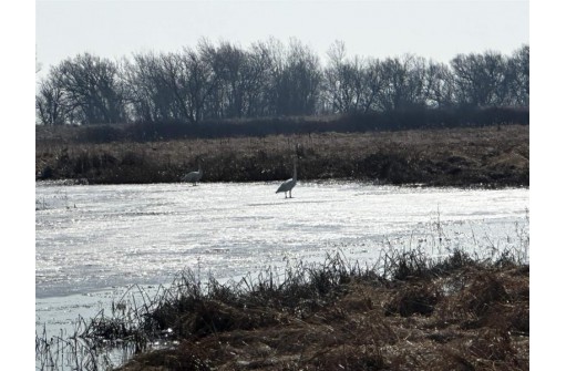 73.00AC County Road I, Waupun, WI 53963