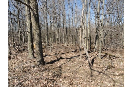 22 AC County Road A, Blanchardville, WI 53516