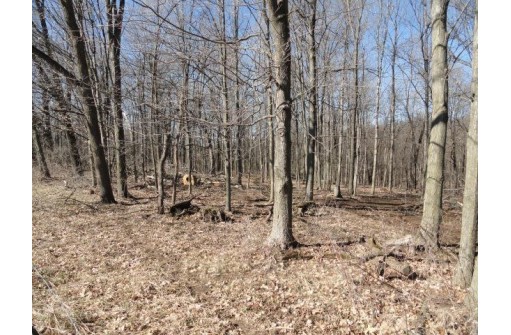 22 AC County Road A, Blanchardville, WI 53516