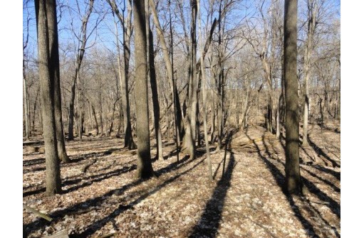 22 AC County Road A, Blanchardville, WI 53516