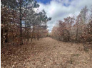 8.32 ACRES Highway 21, Friendship, WI 53934