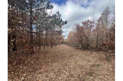 8.32 ACRES Highway 21, Friendship, WI 53934