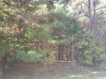 LOT 65 Fur Drive Wisconsin Dells, WI 53965-0000