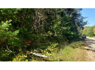 LOT 63 Fur Drive Wisconsin Dells, WI 53965-0000