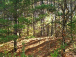 LOT 71 Fur Court Wisconsin Dells, WI 53965-0000