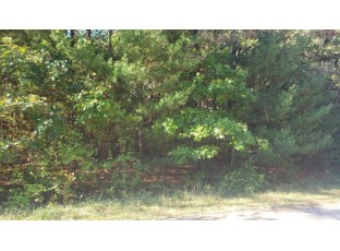 LOT 64 Fur Drive Wisconsin Dells, WI 53965-0000