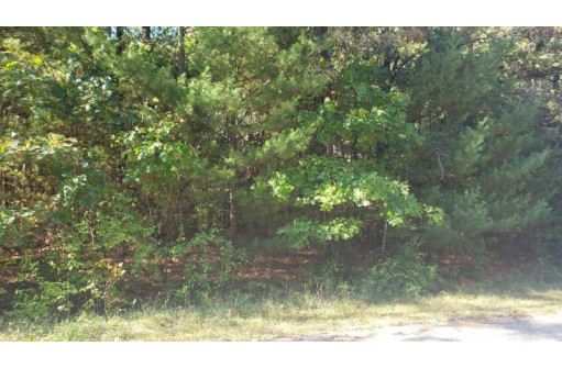 LOT 64 Fur Drive, Wisconsin Dells, WI 53965-0000