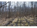 38.04 ACRES Lovers Lane, Elroy, WI 53929