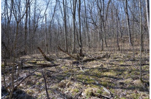 38.04 ACRES Lovers Lane, Elroy, WI 53929