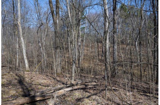 38.04 ACRES Lovers Lane, Elroy, WI 53929