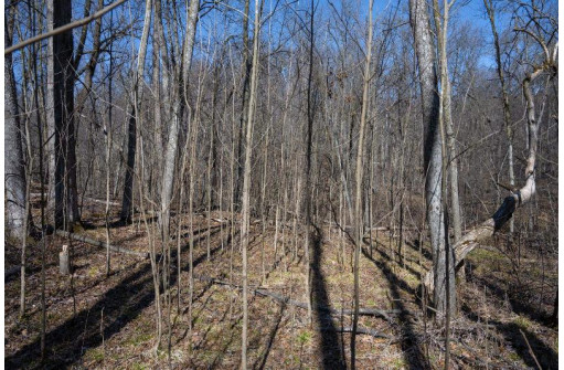 38.04 ACRES Lovers Lane, Elroy, WI 53929