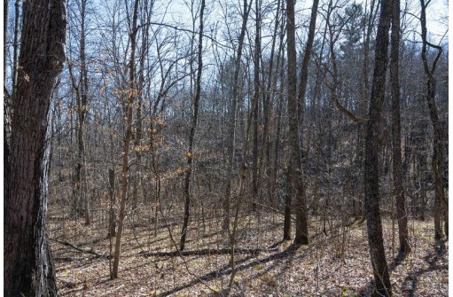 38.04 ACRES Lovers Lane, Elroy, WI 53929