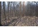 38.04 ACRES Lovers Lane, Elroy, WI 53929