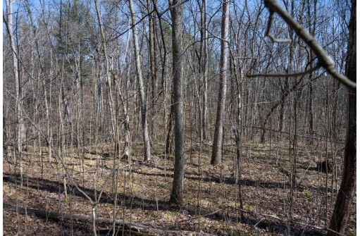 38.04 ACRES Lovers Lane, Elroy, WI 53929