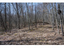 38.04 ACRES Lovers Lane, Elroy, WI 53929