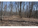 38.04 ACRES Lovers Lane, Elroy, WI 53929