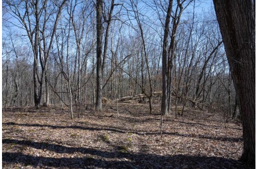 38.04 ACRES Lovers Lane, Elroy, WI 53929