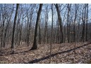 38.04 ACRES Lovers Lane, Elroy, WI 53929