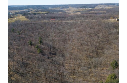 38.04 ACRES Lovers Lane, Elroy, WI 53929