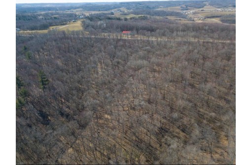 38.04 ACRES Lovers Lane, Elroy, WI 53929