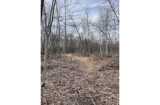 LOT 1 11th Avenue, New Lisbon, WI 53950