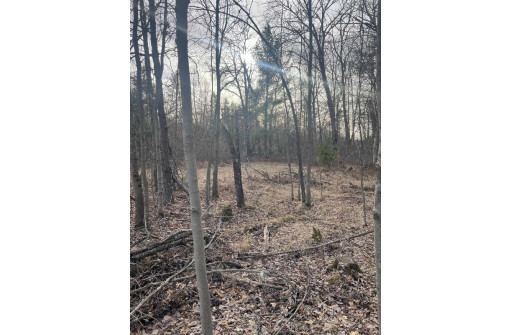 LOT 1 11th Avenue, New Lisbon, WI 53950