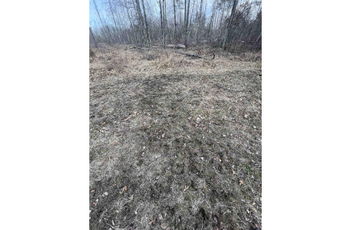 LOT 1 11th Avenue, New Lisbon, WI 53950