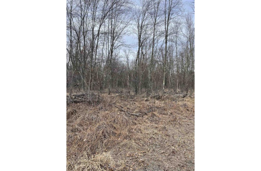 LOT 1 11th Avenue, New Lisbon, WI 53950