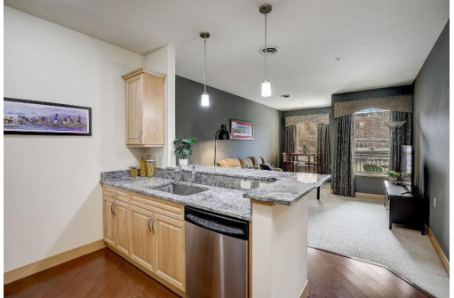 625 E Mifflin Street 205, Madison, WI 53703