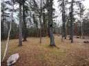 10963 Chequamegon Drive, Minocqua, WI 54548-0000