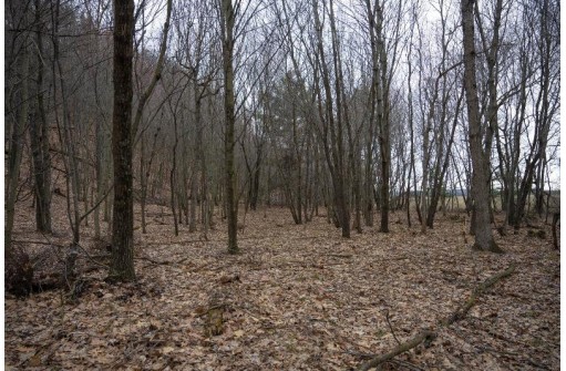 LOT 1 Russell Road, New Lisbon, WI 53950