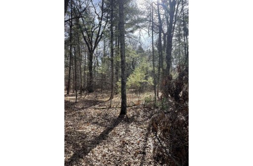 LOT 46 18th, Arkdale, WI 54613