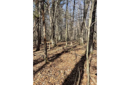 LOT 46 18th, Arkdale, WI 54613