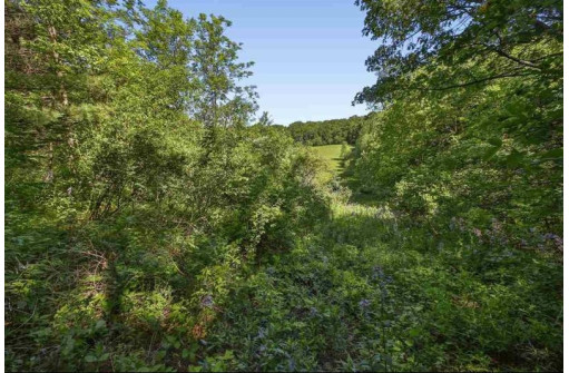 18.94AC Enchanted Valley, Middleton, WI 53562