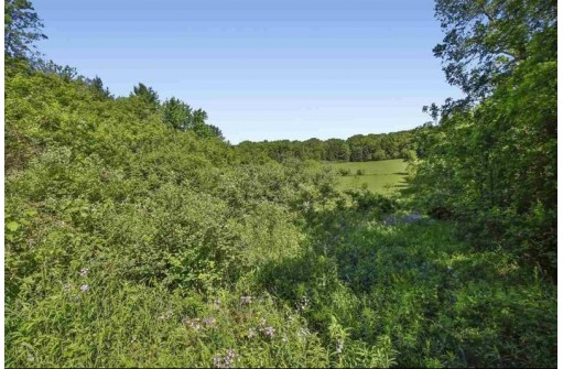 18.94AC Enchanted Valley, Middleton, WI 53562