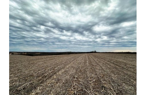 135.80AC Hickory Hill Road, Hillsboro, WI 54634