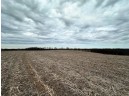 135.80AC Hickory Hill Road, Hillsboro, WI 54634