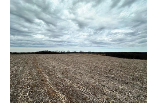 135.80AC Hickory Hill Road, Hillsboro, WI 54634