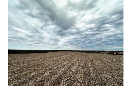 135.80AC Hickory Hill Road, Hillsboro, WI 54634