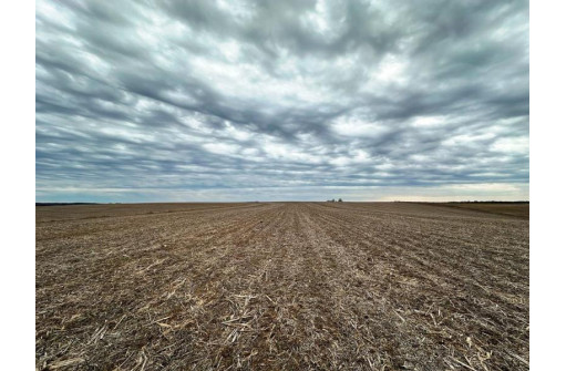 135.80AC Hickory Hill Road, Hillsboro, WI 54634