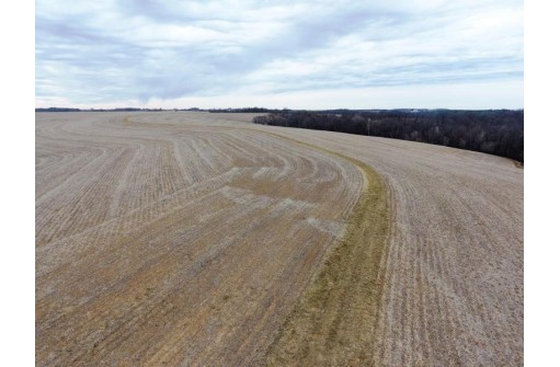 135.80AC Hickory Hill Road, Hillsboro, WI 54634