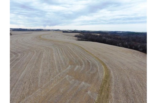 135.80AC Hickory Hill Road, Hillsboro, WI 54634