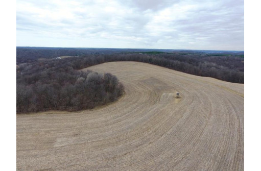 135.80AC Hickory Hill Road, Hillsboro, WI 54634