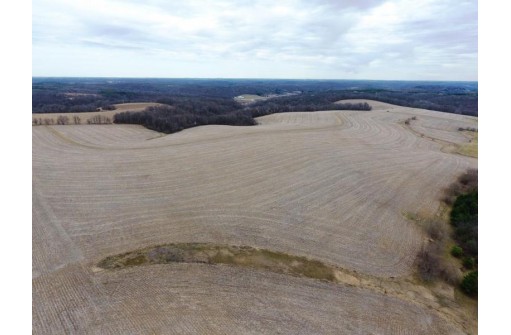 135.80AC Hickory Hill Road, Hillsboro, WI 54634