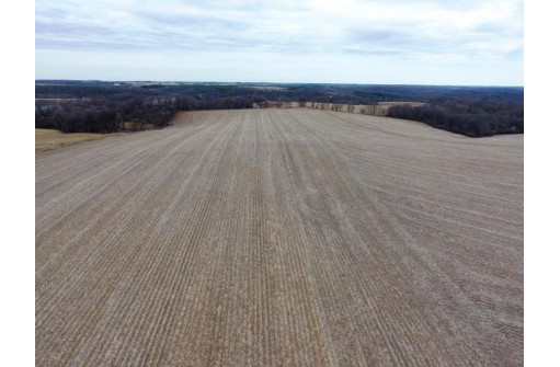 135.80AC Hickory Hill Road, Hillsboro, WI 54634