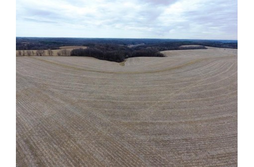 135.80AC Hickory Hill Road, Hillsboro, WI 54634