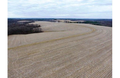 135.80AC Hickory Hill Road, Hillsboro, WI 54634